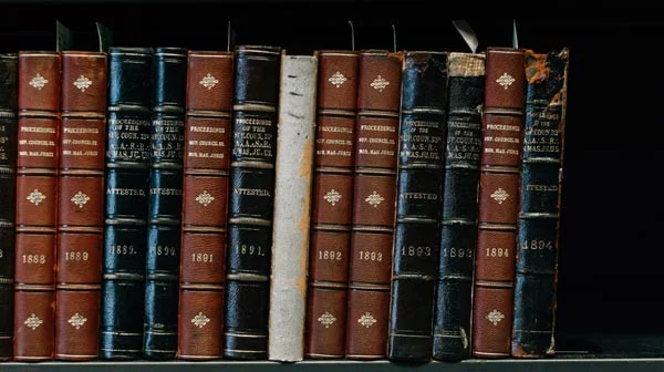 Site-organization-in-SEO